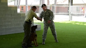 MWD Leash Transfer