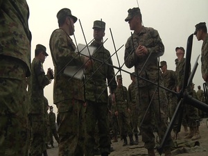 Exercise Forest Light 17-1: Joint Gun Show (Broll)
