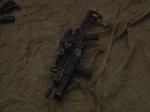 Exercise Forest Light 17-1: Joint Gun Show (TV)