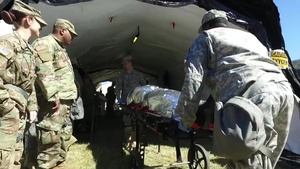 251st Area Support Medical Company Validation