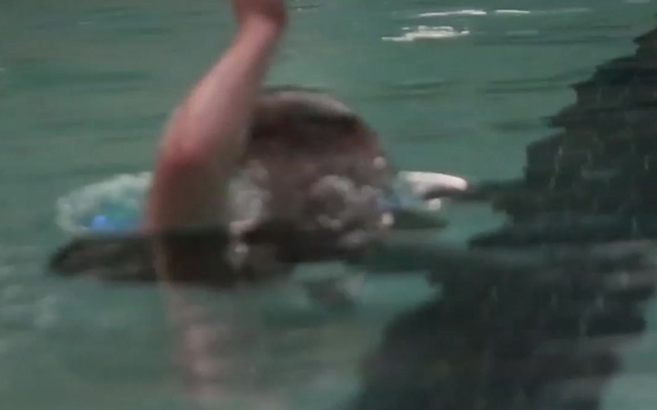 Amphibious: Recon Marines prepare for Dive School