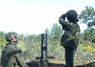 Exercise Real Thaw 17