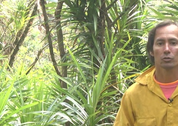 Army helicopters do heavy-lifting for endangered snails