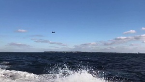 F-16, F-15 air-to-ground combat training in Florida bay