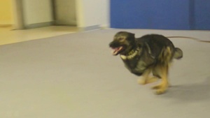 Mission Highlight: MWD