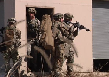 WAREX 78-17-01 Hasty Raid 101st Airborne Division