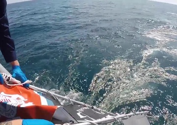 Cushing Turtle Release