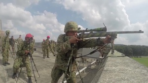 Marines with the 3rd Marine Expeditionary Unit conduct buddy rushes at Camp Ojojiharra