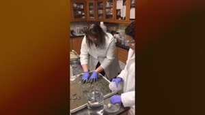 Bioaccumulation Testing - ERDC