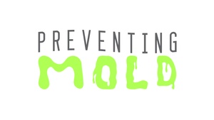 Mold Prevention