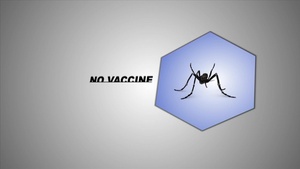 All Hands Update: Zika Virus