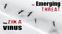 Zika Virus Awareness