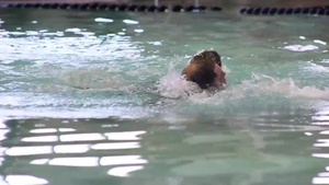 Marines, sailors face off in team competition on Parris Island