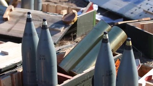 Polish Soldiers Conduct Call For Fire Live Fire