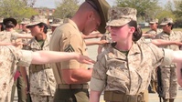 November Company Final Drill
