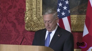 Mattis, British Defense Secretary Discuss Partnership