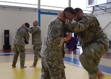 AFNORTH Combative Level I exercise React to contact