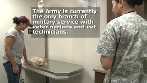 Army vets on Shaw_Facebook version