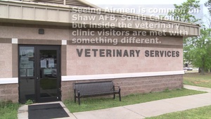 Army vets on Shaw_Slate version