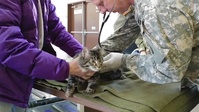 ARCTIC CARE 2017 Veterinarian Clinic Fills Vital Need
