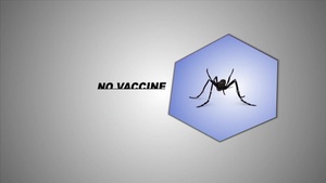 All Hands Update: Zika Virus