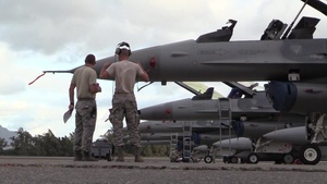 Sentry Aloha