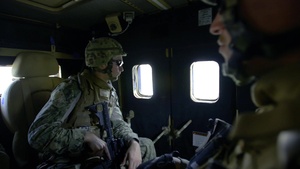 All Hands Update: NMCB 113 Field Training Exercise