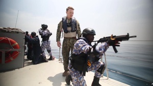 All Hands Update: Illegal Fishing