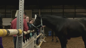 Air Force Report: Equine Therapy