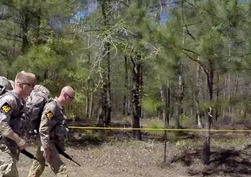 Best Ranger 2017 News Report