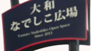 NAF Atsugi Gives Back - Yamato Station Clean Up