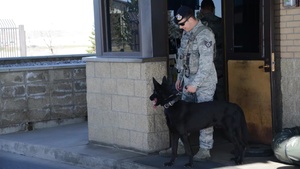 Behind the Scenes with K-9