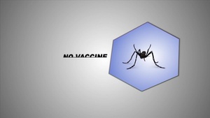 All Hands Update: Zika Virus