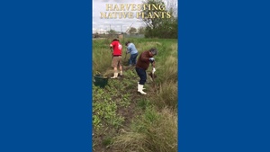 Engineering with Nature