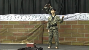 Taekwondo Visit