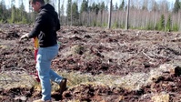 Earth Day tree planting in Estonia