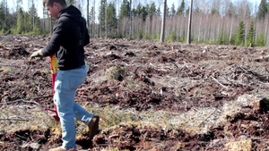 Earth Day tree planting in Estonia