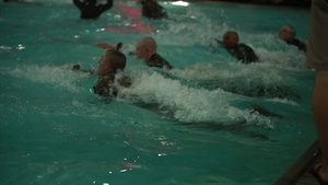Fox & Oscar Companies – Swim Qualification – March 6, 2017