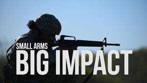 Small Arms, Big Impact