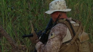 Apex Predator: Marines Prowl in the Wilderness