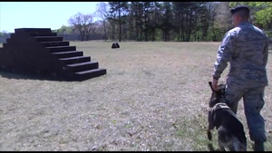 Canine Cops