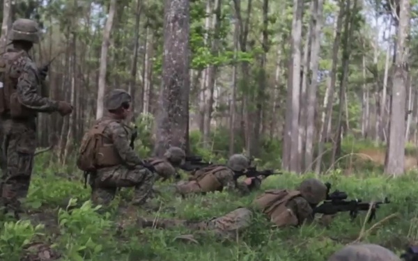 2/2 Conducts Company Attack