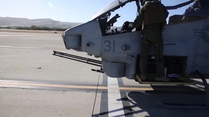 Around the MEF