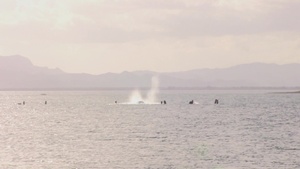Philippine and U.S. Navy demolition exercise (B-Roll)
