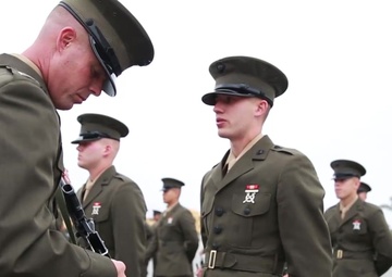 The Transformation - Week 13