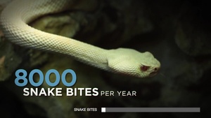 Air Force Cyber Secure PSA 2.0