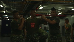 U.S. Marines, Philippine Marines and Sailors Practice Non-lethal Controlling Holds (B-Roll)