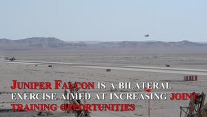 Juniper Falcon Wrap-up
