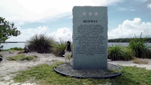 Midway