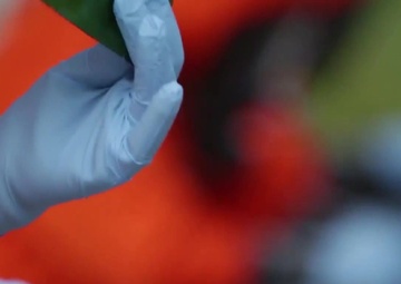 Preparing to deal with the threat from chemical, biological and nuclear weapons